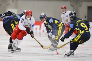  Чемпионат мира по хоккею с мячом пройдет в Хабаровске